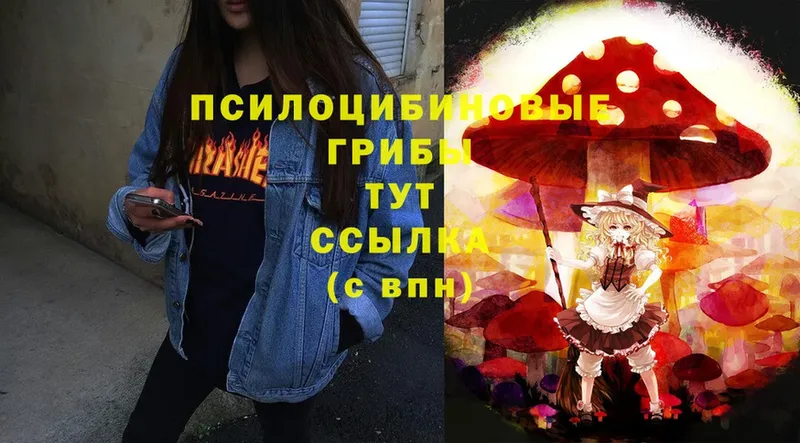 Галлюциногенные грибы Magic Shrooms  Дагестанские Огни 